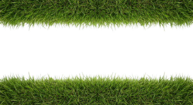 Green grass frame isolated PNG with Transparent Background