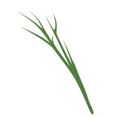 Green grass with tall stalks showcasing height and natural elegance.