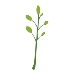Young plant with vibrant green leaves, representing new beginnings and harmony with nature.