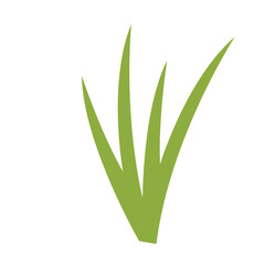 Green grass with long leaves symbolizing freshness and vitality in a natural setting.