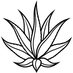 Aloe Vera line art vector