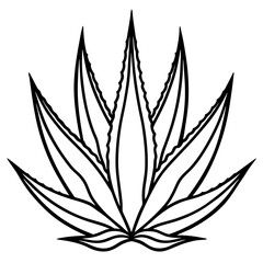 Aloe Vera line art vector