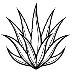Aloe Vera line art vector