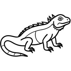 Stylized Iguana Linework