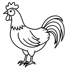 Stylized Rooster Sketch