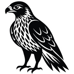 Fototapeta premium Hawk single bird vector shilhouette 
