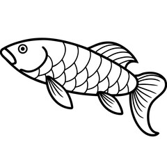 Arowana line art vector
