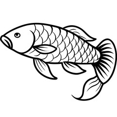Arowana line art vector