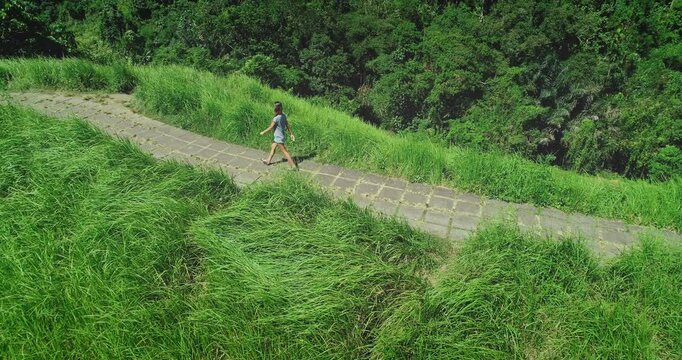 Aerial drone footage of a young woman walking on the Campuhan Ridge Walk in Ubud, Bali, surrounded by lush green vegetation and enjoying the sunny weather