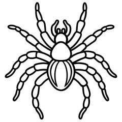 Tarantula Outline Art
