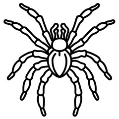 Tarantula Outline Art