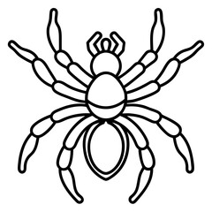 Tarantula Outline Art