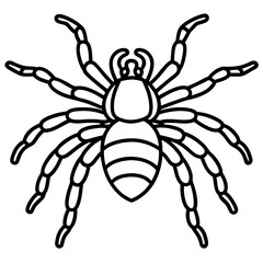 Tarantula Outline Art