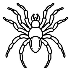 Tarantula Outline Art
