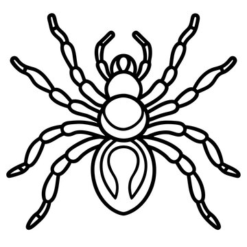 black spider outline drawing clip art preview