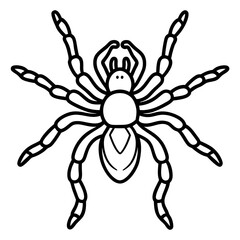 Obraz premium Tarantula Outline Art