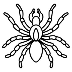 Tarantula Outline Art