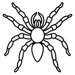 Obraz premium Tarantula Outline Art