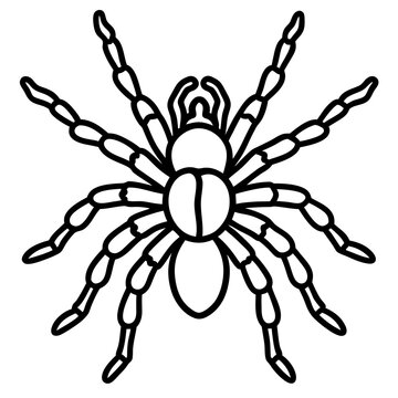 Spider clip art preview