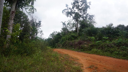 Obraz premium Rural Dirt Road in the Hills of West Kalimantan, Indonesia