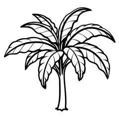 Banana Tree line art vector