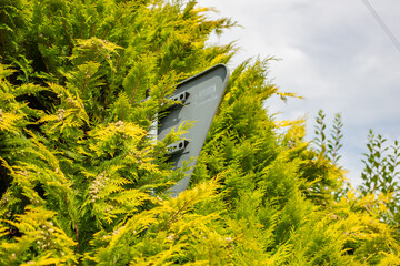 A traffic sign almost completely engulfed by vibrant green and yellow foliage, symbolizing nature reclaiming urban space. Concept of overgrowth, neglect, and urban nature