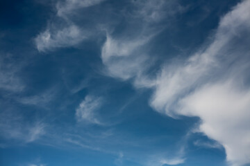 Delicate, wispy white clouds drift across a vivid blue sky. A serene and minimalist natural scene perfect for backgrounds, relaxation, or atmospheric design elements
