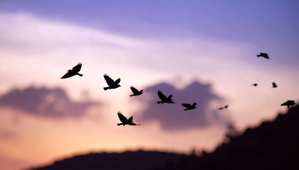 Soaring Silhouettes: A flock of birds gracefully dances against a breathtaking, painted-sky canvas, celebrating freedom 