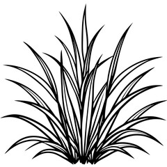 Bermuda Grass line art vector