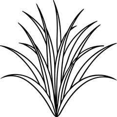 Bermuda Grass line art vector