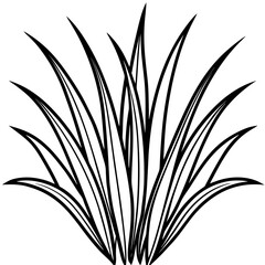 Bermuda Grass line art vector