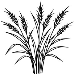 Bermuda Grass line art vector