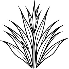 Bermuda Grass line art vector