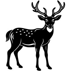 Fototapeta premium deer vector illustration