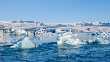Majestic icebergs drift serenely in the crystal-clear waters of Jokulsarlon Glacier Lagoon in...