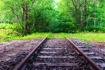 Old, rusty railroad track ends in a dense green forest. Mysterious overgrown nature path, perfect...