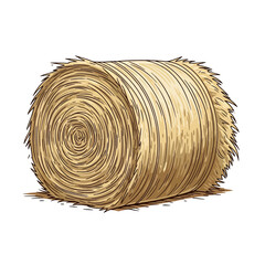 Round hay bale on white background representing symbol of Lammas  