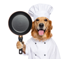 Golden retriever dressed as a chef holding a frying pan, smiling with tongue out.