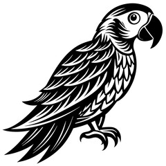 Fototapeta premium black and white parrot