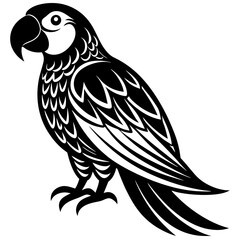 Obraz premium black and white parrot