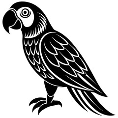 Obraz premium black and white parrot