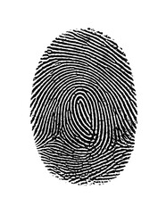 Detailed fingerprint pattern with white outline