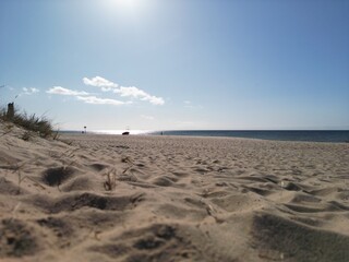 Windswept sand dunes stretching endlessly across coastal desert landscape under cloudy sky