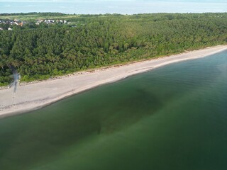 Aerial view of pristine sandy beach meeting emerald green waters surrounded by dense forest