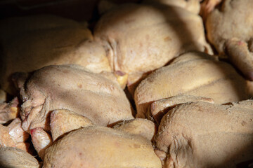 carne  porchetta tagliata salsiccia pollo giallo cottura cotoletta milanese