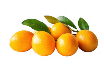 Ripe Citrus Fruits