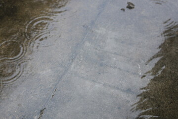 puddles of water due to heavy rain in the yard
