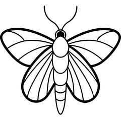 Vintage Moth Engraving