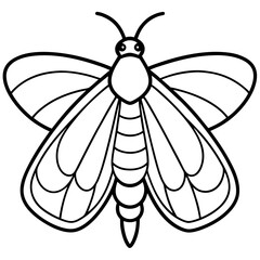 Vintage Moth Engraving