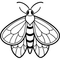 Vintage Moth Engraving